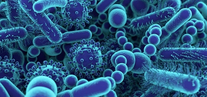 Czynniki wpływające na mikrobiom jelitowy